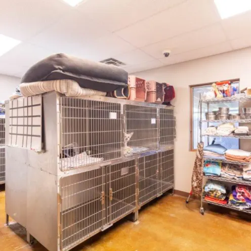 A photo of the kennel area at Dunes Animal Hospital